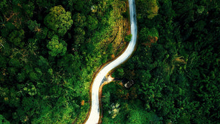 latin-honey-amazonian-Roll On Jade