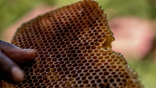 latin-honey-ethical-Roll On Jade